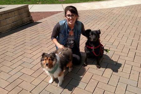 Chicago dog walker with dogs