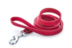 red dog leash